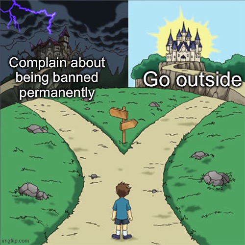 Two Path Meme (inverted) | Go outside; Complain about
being banned
permanently | image tagged in two path meme inverted | made w/ Imgflip meme maker