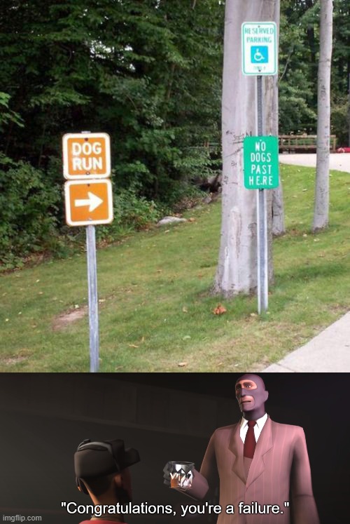 Dog Run | image tagged in congratulations you're a failure | made w/ Imgflip meme maker