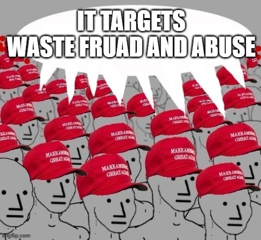 IT TARGETS WASTE FRUAD AND ABUSE | image tagged in maga npc redhats | made w/ Imgflip meme maker