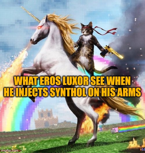 E. Luxor synthol man | WHAT EROS LUXOR SEE WHEN HE INJECTS SYNTHOL ON HIS ARMS | image tagged in memes,welcome to the internets | made w/ Imgflip meme maker