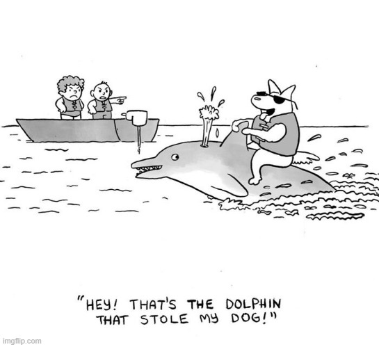 Stolen Dog | image tagged in comics | made w/ Imgflip meme maker