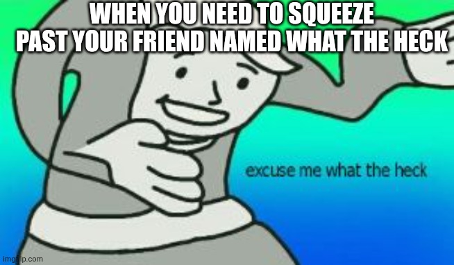 Excuse Me What The Heck | WHEN YOU NEED TO SQUEEZE PAST YOUR FRIEND NAMED WHAT THE HECK | image tagged in excuse me what the heck | made w/ Imgflip meme maker