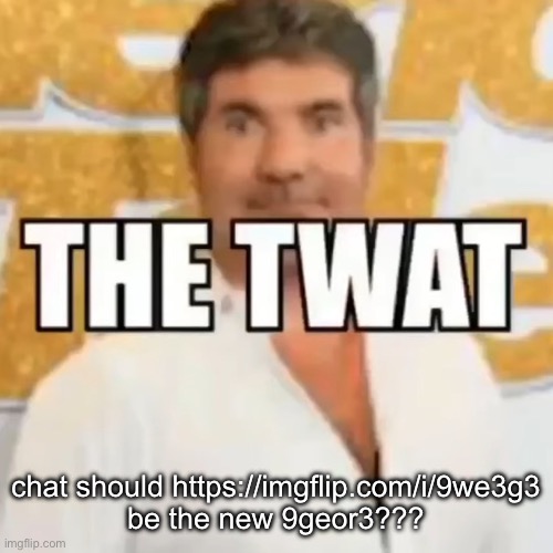 the twat | chat should https://imgflip.com/i/9we3g3 be the new 9geor3??? | image tagged in the twat | made w/ Imgflip meme maker