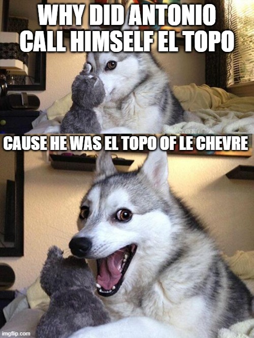 Dumb Carmen Sandiego Jokes | WHY DID ANTONIO CALL HIMSELF EL TOPO; CAUSE HE WAS EL TOPO OF LE CHEVRE | image tagged in memes,dumb,husky | made w/ Imgflip meme maker