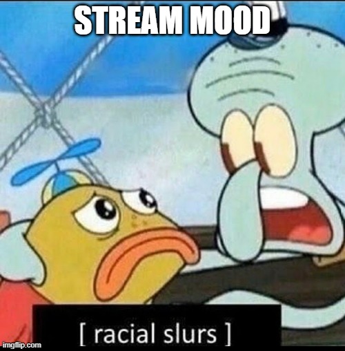 [racial slurs] | STREAM MOOD | image tagged in racial slurs | made w/ Imgflip meme maker