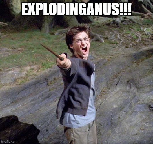 Harry potter | EXPLODINGANUS!!! | image tagged in harry potter | made w/ Imgflip meme maker