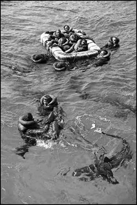High Quality USS INDIANAPOLIS rescue Blank Meme Template
