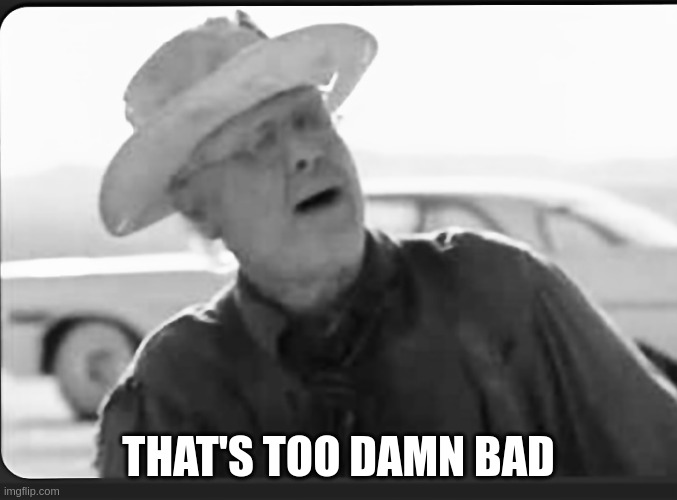 That’s too damn bad | THAT'S TOO DAMN BAD | image tagged in that s too damn bad | made w/ Imgflip meme maker