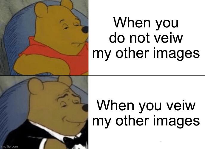 When you do not veiw my other images When you veiw my other images | image tagged in memes,tuxedo winnie the pooh | made w/ Imgflip meme maker