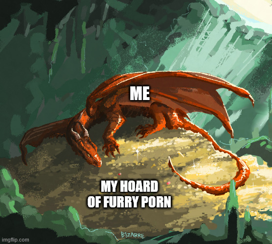 Dragon's Hoard | ME; MY HOARD OF FURRY PORN | image tagged in furry memes,furry | made w/ Imgflip meme maker