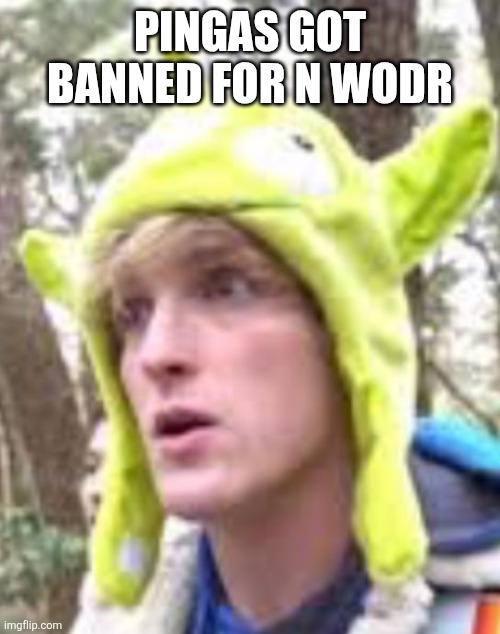 Logan Paul | PINGAS GOT BANNED FOR N WODR | image tagged in logan paul | made w/ Imgflip meme maker