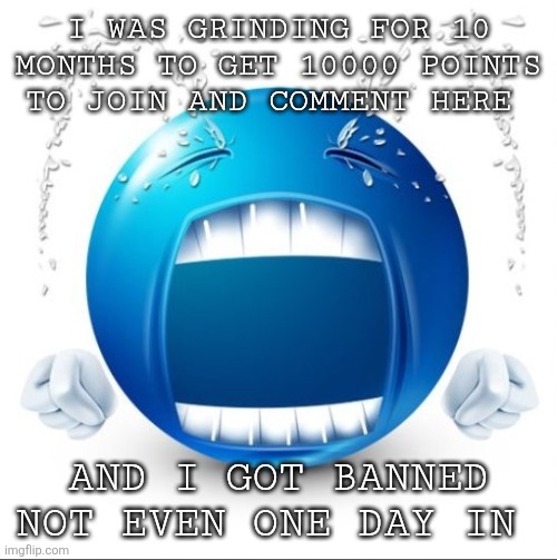 I know I deserved it but still | I WAS GRINDING FOR 10 MONTHS TO GET 10000 POINTS TO JOIN AND COMMENT HERE; AND I GOT BANNED NOT EVEN ONE DAY IN | image tagged in crying blue guy | made w/ Imgflip meme maker