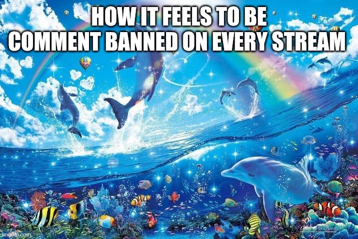 Happy dolphin rainbow | HOW IT FEELS TO BE COMMENT BANNED ON EVERY STREAM | image tagged in happy dolphin rainbow | made w/ Imgflip meme maker