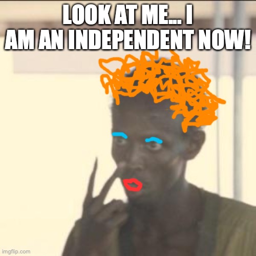 9webpf.jpg