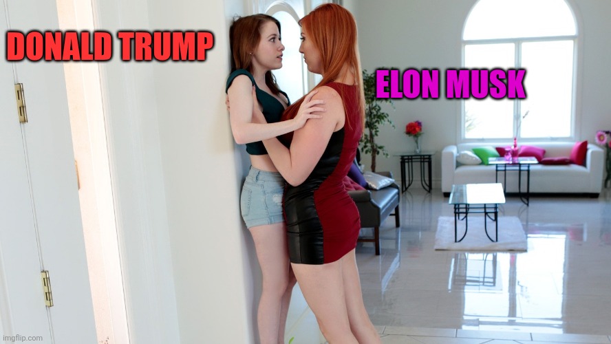 Lauren Phillips lifting Alice Merchesi | DONALD TRUMP; ELON MUSK | image tagged in lauren phillips lifting alice merchesi | made w/ Imgflip meme maker