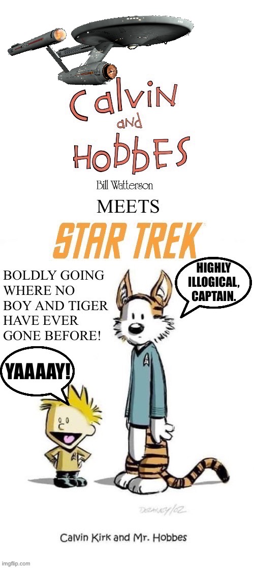 Space… the final frontier… | image tagged in calvin and hobbes,star trek,kirk and spock,mashup,tribute | made w/ Imgflip meme maker