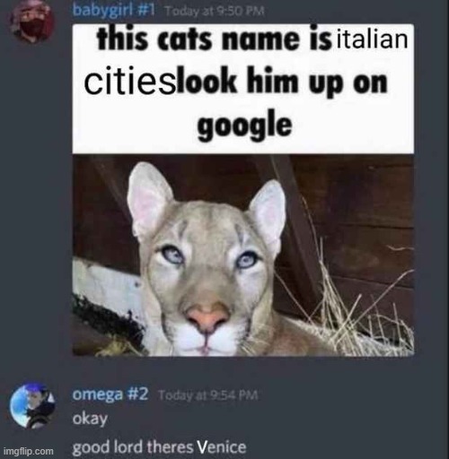 made w/ Imgflip meme maker