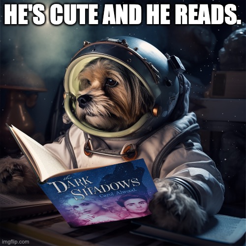 Reading dog | HE'S CUTE AND HE READS. | image tagged in dog memes | made w/ Imgflip meme maker