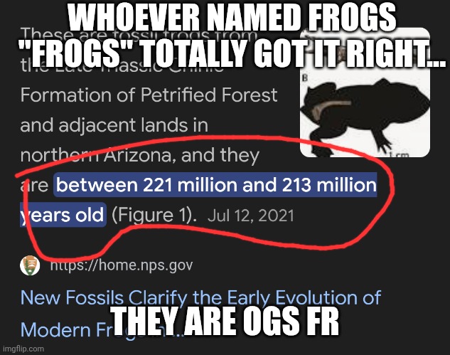 fr ogs | WHOEVER NAMED FROGS "FROGS" TOTALLY GOT IT RIGHT... THEY ARE OGS FR | image tagged in frog,fr,og,dad joke,maybe | made w/ Imgflip meme maker