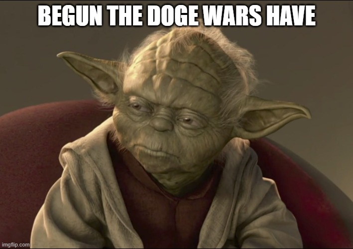Yoda Begun The Clone War Has | BEGUN THE DOGE WARS HAVE | image tagged in yoda begun the clone war has | made w/ Imgflip meme maker