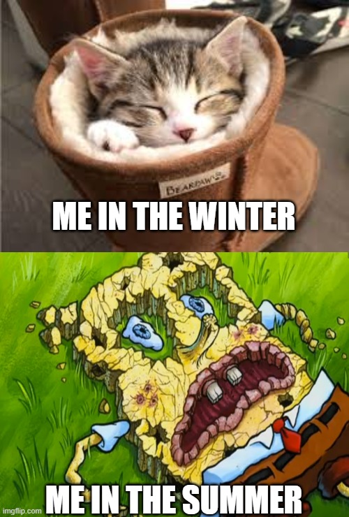 Seasons be like | ME IN THE WINTER; ME IN THE SUMMER | image tagged in cozy kitty,driedbob crackedpants | made w/ Imgflip meme maker