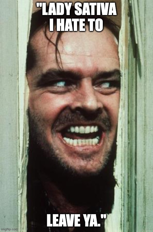 Here's Johnny Meme | "LADY SATIVA I HATE TO; LEAVE YA." | image tagged in memes,here's johnny | made w/ Imgflip meme maker