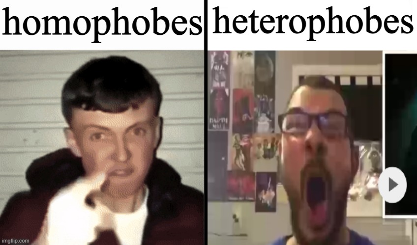 they are as bad as each other | homophobes; heterophobes | image tagged in average fan vs nerd average fan | made w/ Imgflip meme maker
