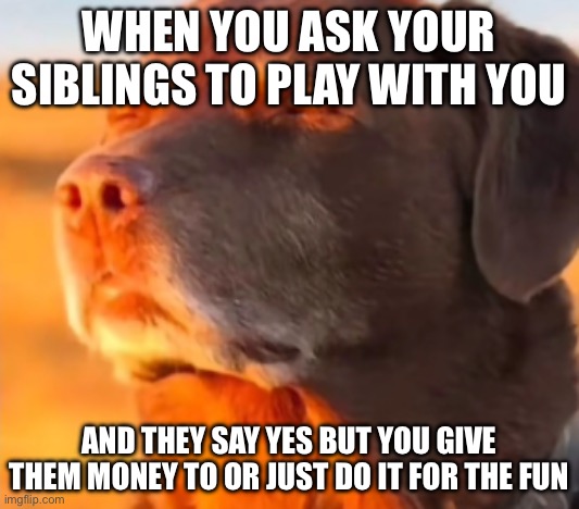 Dog Taking Sun with Closed Eyes | WHEN YOU ASK YOUR SIBLINGS TO PLAY WITH YOU; AND THEY SAY YES BUT YOU GIVE THEM MONEY TO OR JUST DO IT FOR THE FUN | image tagged in dog taking sun with closed eyes | made w/ Imgflip meme maker