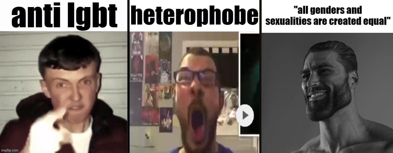 Virgin vs virgin vs chad | anti lgbt; heterophobe; "all genders and sexualities are created equal" | image tagged in virgin vs virgin vs chad,giga chad,heterophobia,anti lgbt,equality,human rights | made w/ Imgflip meme maker