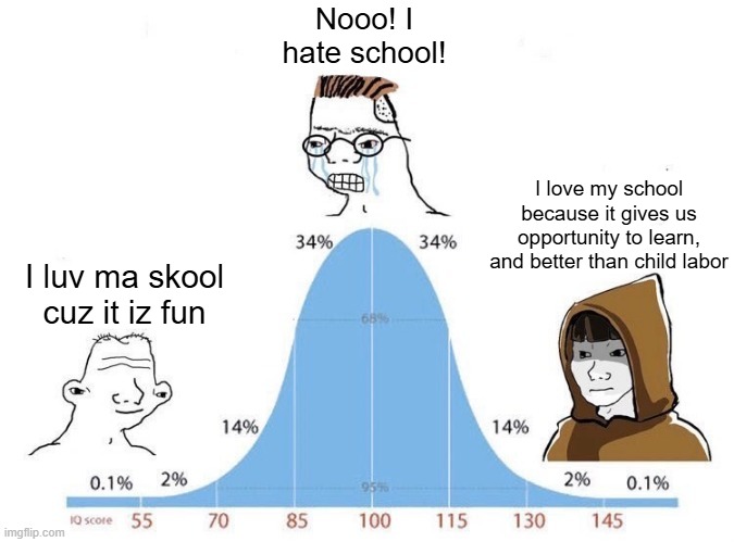 Either like it, or hate it. | Nooo! I hate school! I love my school because it gives us opportunity to learn, and better than child labor; I luv ma skool
cuz it iz fun | image tagged in bell curve | made w/ Imgflip meme maker