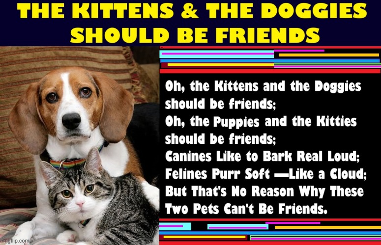 Sung to Melody of "The Farmers & the Cowmen Can Be Friends" | image tagged in vince vance,dogs,cats,cute puppies,cute kittens,cuteness overload | made w/ Imgflip meme maker