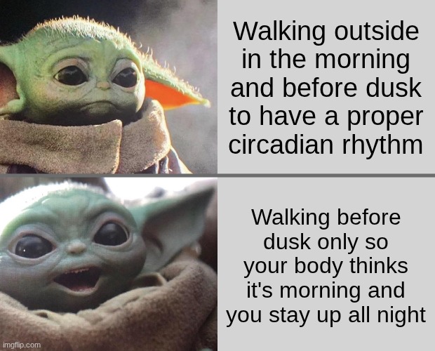 . | Walking outside in the morning and before dusk to have a proper circadian rhythm; Walking before dusk only so your body thinks it's morning and you stay up all night | image tagged in baby yoda v4 sad happy | made w/ Imgflip meme maker