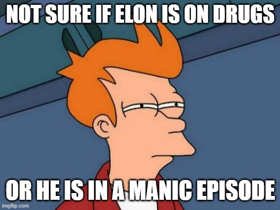 Elon | NOT SURE IF ELON IS ON DRUGS; OR HE IS IN A MANIC EPISODE | image tagged in memes,futurama fry | made w/ Imgflip meme maker