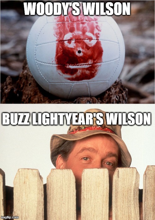 WOODY'S WILSON; BUZZ LIGHTYEAR'S WILSON | image tagged in wilson volleyball castaway,wilson home improvement,woody,buzz lightyear | made w/ Imgflip meme maker