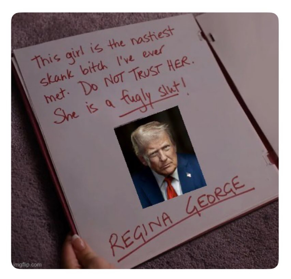Burn Book Blank Meme Template