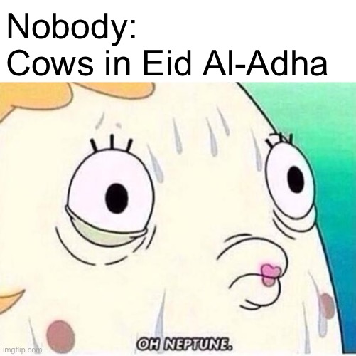 Happy Eid Al-Adha guys | Nobody:
Cows in Eid Al-Adha | image tagged in oh neptune | made w/ Imgflip meme maker