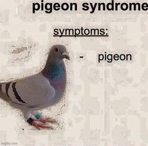 image tagged in pigeon | made w/ Imgflip meme maker
