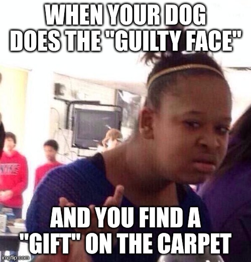 Black Girl Wat | WHEN YOUR DOG DOES THE "GUILTY FACE"; AND YOU FIND A "GIFT" ON THE CARPET | image tagged in memes,black girl wat | made w/ Imgflip meme maker