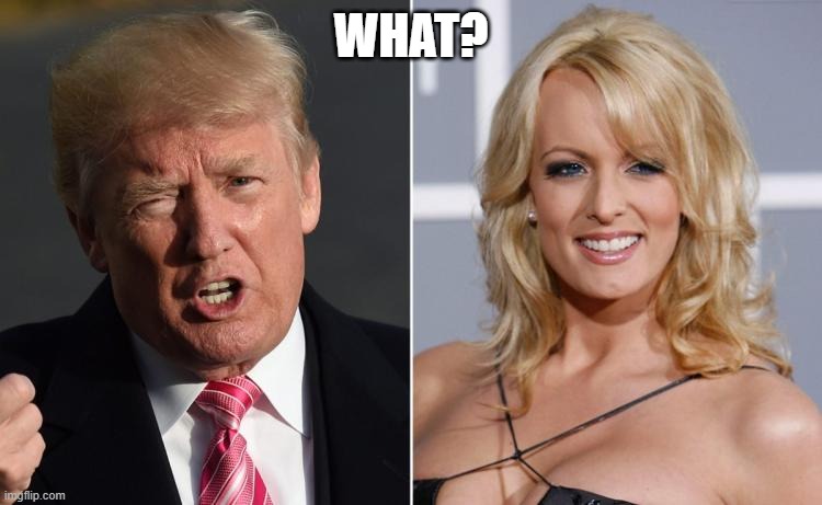 Trump Stormy Daniels | WHAT? | image tagged in trump stormy daniels | made w/ Imgflip meme maker