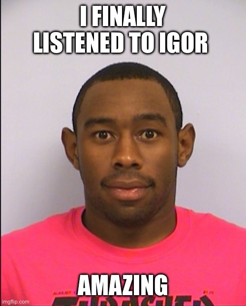 Awesome album | I FINALLY LISTENED TO IGOR; AMAZING | image tagged in tyler mugshot | made w/ Imgflip meme maker
