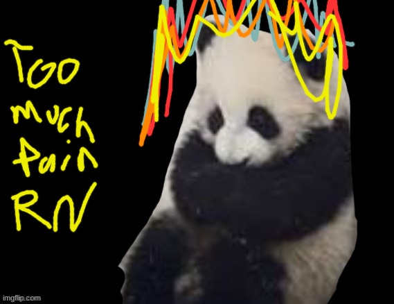 panda | image tagged in panda | made w/ Imgflip meme maker