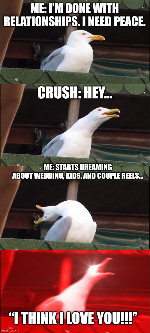 Friends ? | ME: I’M DONE WITH RELATIONSHIPS. I NEED PEACE. CRUSH: HEY…; ME: STARTS DREAMING ABOUT WEDDING, KIDS, AND COUPLE REELS…; “I THINK I LOVE YOU!!!” | image tagged in memes,inhaling seagull | made w/ Imgflip meme maker