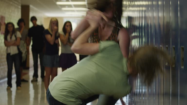 Fight Blank Meme Template