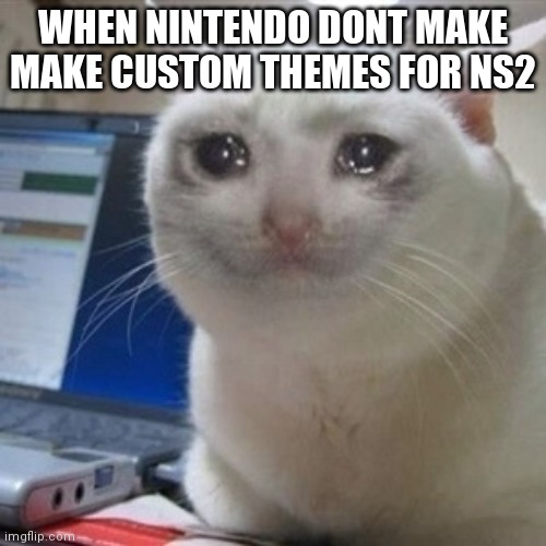 Crying cat | WHEN NINTENDO DONT MAKE MAKE CUSTOM THEMES FOR NS2 | image tagged in crying cat | made w/ Imgflip meme maker