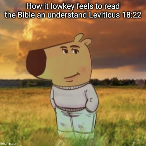 being chill and smarter than most | How it lowkey feels to read the Bible an understand Leviticus 18:22 | image tagged in chill guy,chill,christianity | made w/ Imgflip meme maker