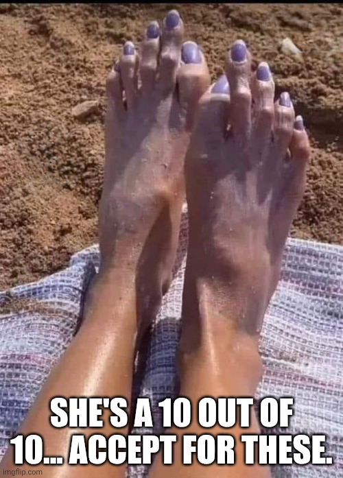 SHE'S A 10 OUT OF 10... ACCEPT FOR THESE. | image tagged in feet,toes,dude wtf | made w/ Imgflip meme maker