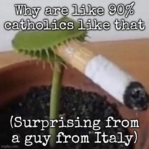 plant weeds | Why are like 90% catholics like that; (Surprising from a guy from Italy) | image tagged in plant weeds,msmg | made w/ Imgflip meme maker