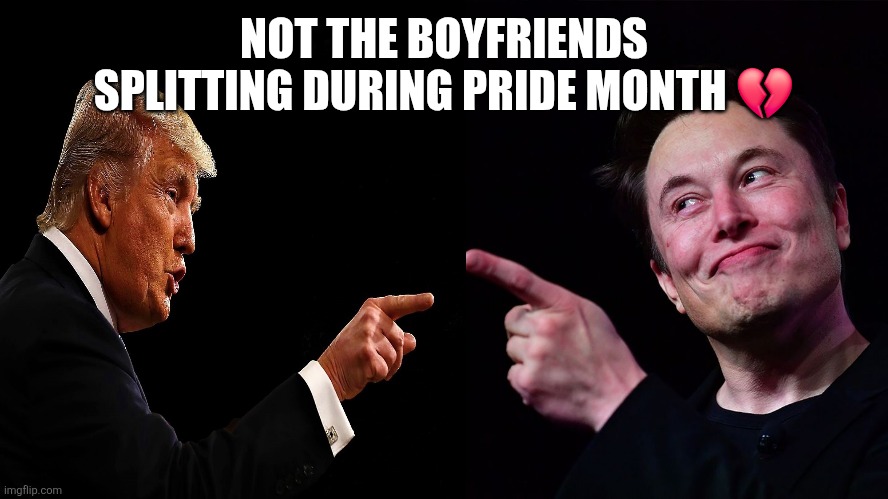 Trump and Elon Musk point to each other | NOT THE BOYFRIENDS SPLITTING DURING PRIDE MONTH 💔 | image tagged in trump and elon musk point to each other | made w/ Imgflip meme maker