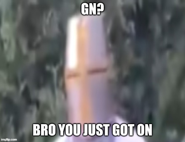What The pope | GN? BRO YOU JUST GOT ON | image tagged in what the pope | made w/ Imgflip meme maker