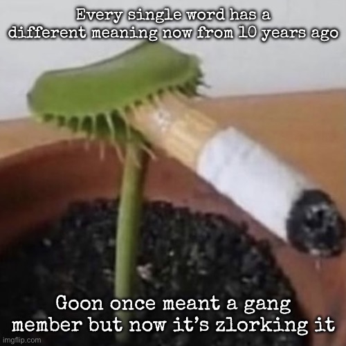 plant weeds | Every single word has a different meaning now from 10 years ago; Goon once meant a gang member but now it’s zlorking it | image tagged in plant weeds,msmg | made w/ Imgflip meme maker